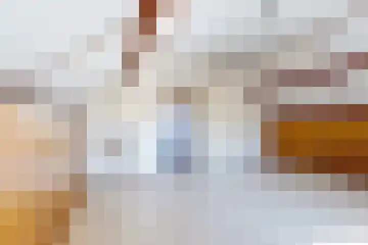 Raadhuisstraat 18 Hooge Zwaluwe thumbnail 34