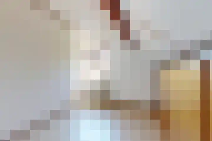 Raadhuisstraat 18 Hooge Zwaluwe thumbnail 38