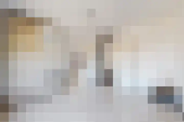 Raadhuisstraat 18 Hooge Zwaluwe thumbnail 5