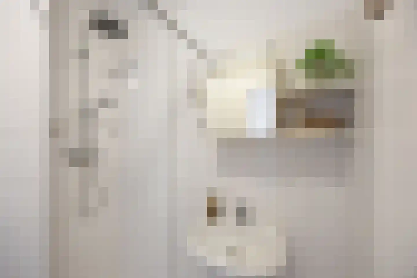 Raadhuisstraat 18 Nijmegen thumbnail 12