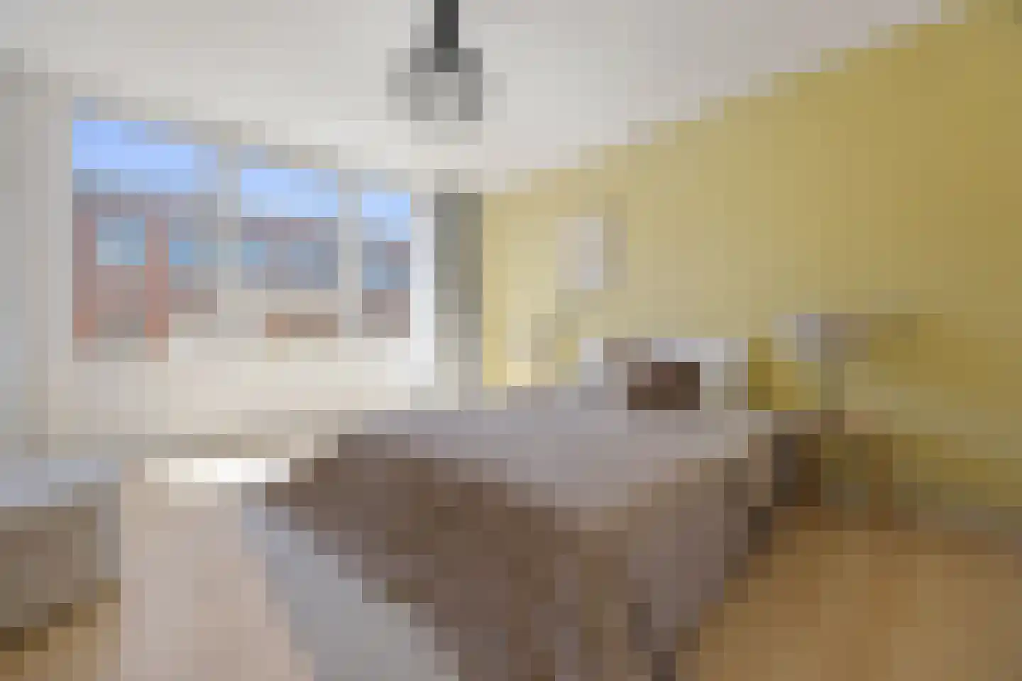 Raadhuisstraat 18 Nijmegen thumbnail 14