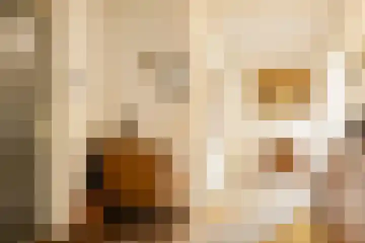 Raadhuisstraat 19 Ede thumbnail 4