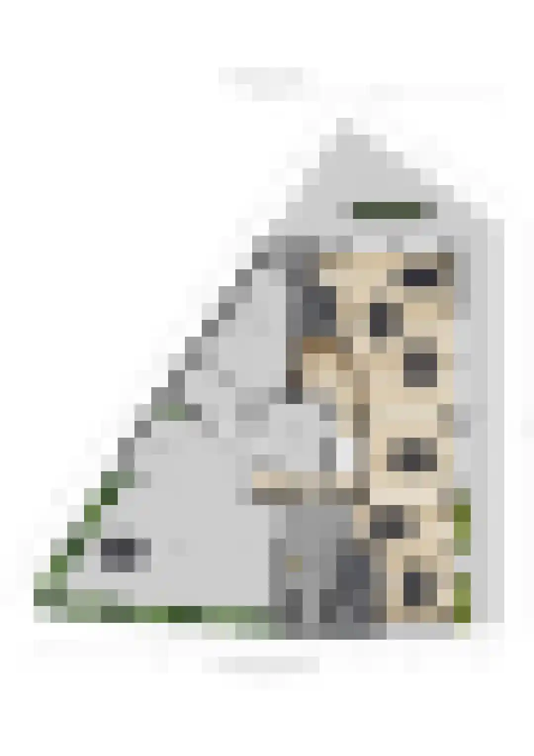 Raadhuisstraat 2 c Hoogerheide thumbnail 33