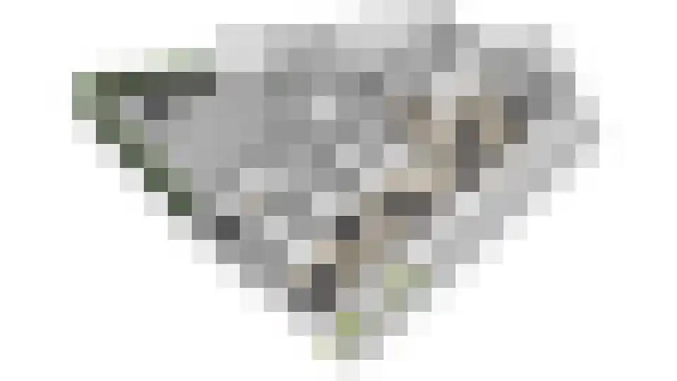 Raadhuisstraat 2 c Hoogerheide thumbnail 35