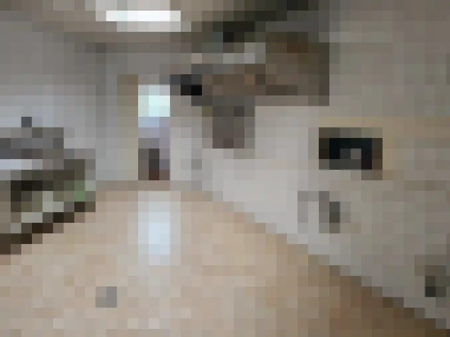 Raadhuisstraat 2 c Hoogerheide thumbnail 9