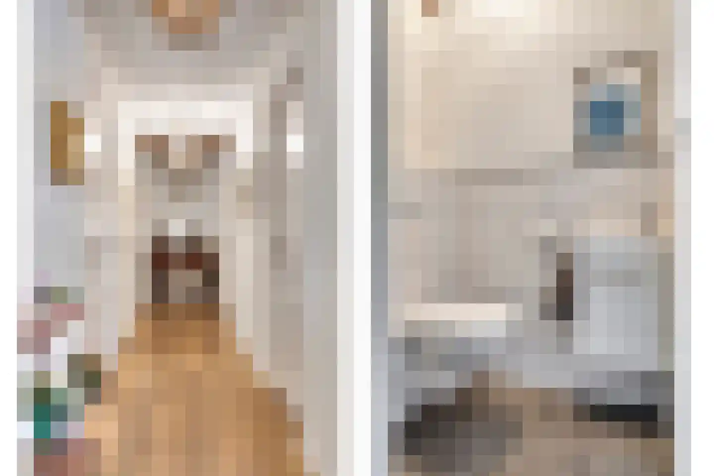 Raadhuisstraat 2 D Venray thumbnail 14