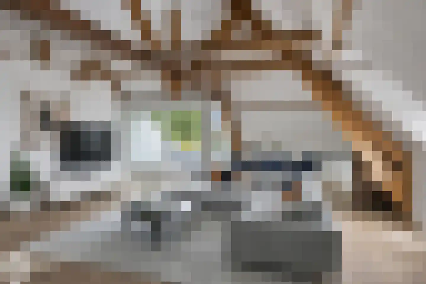 Raadhuisstraat 2 D Venray thumbnail 15
