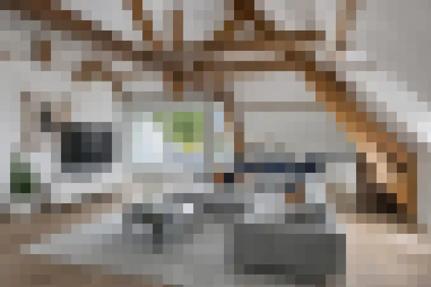 Raadhuisstraat 2 D Venray thumbnail 17