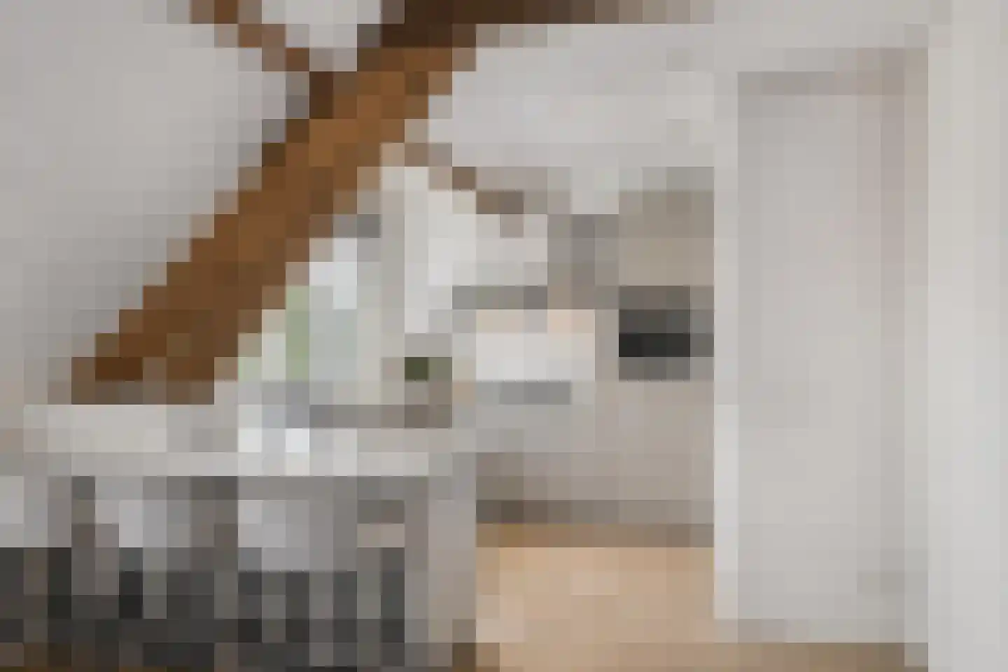 Raadhuisstraat 2 D Venray thumbnail 24