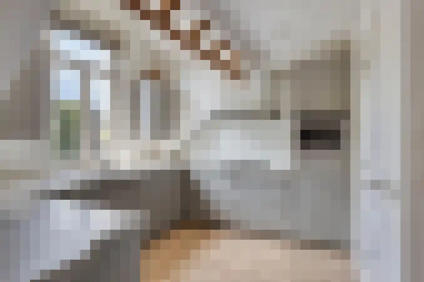 Raadhuisstraat 2 D Venray thumbnail 25