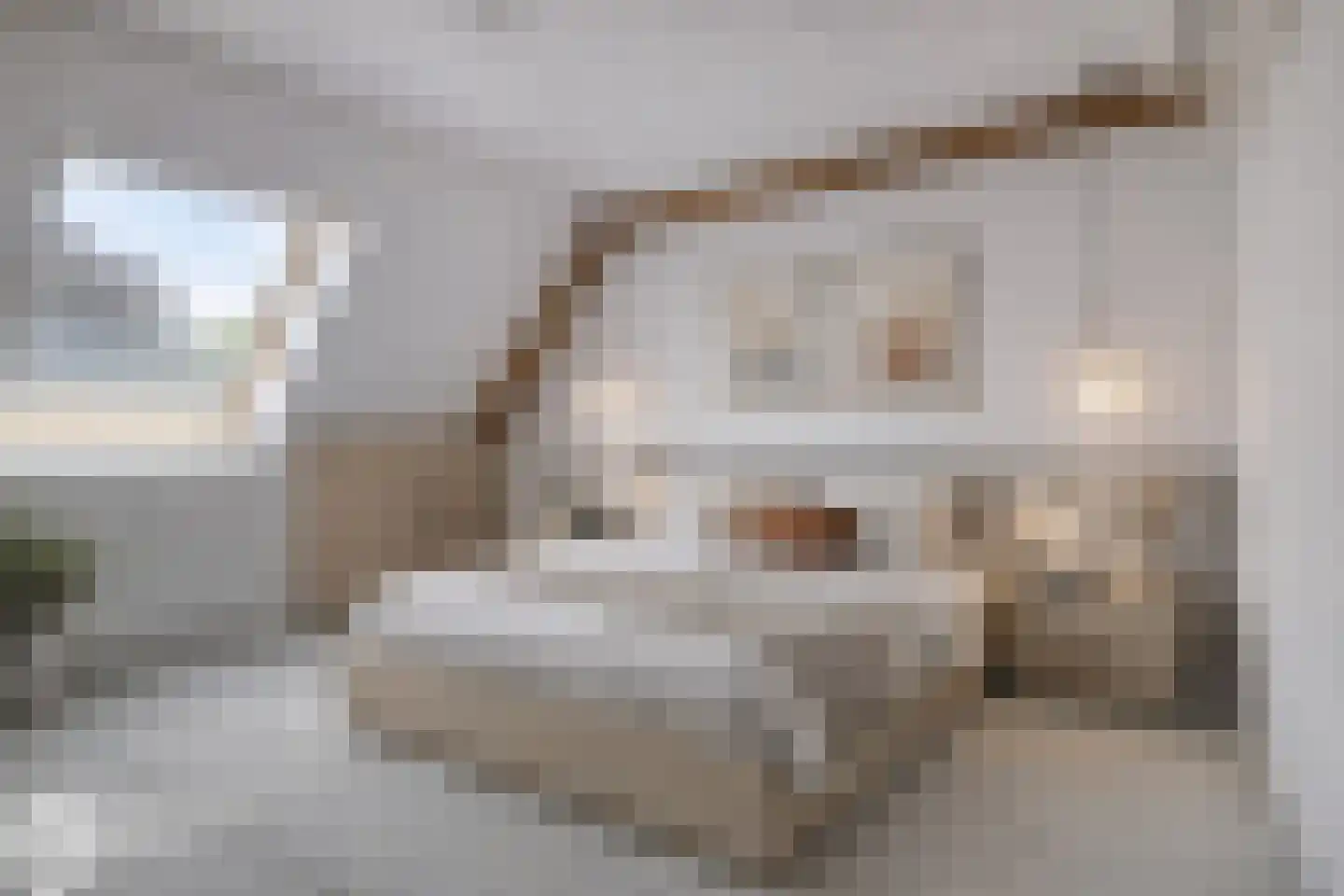 Raadhuisstraat 2 D Venray thumbnail 29