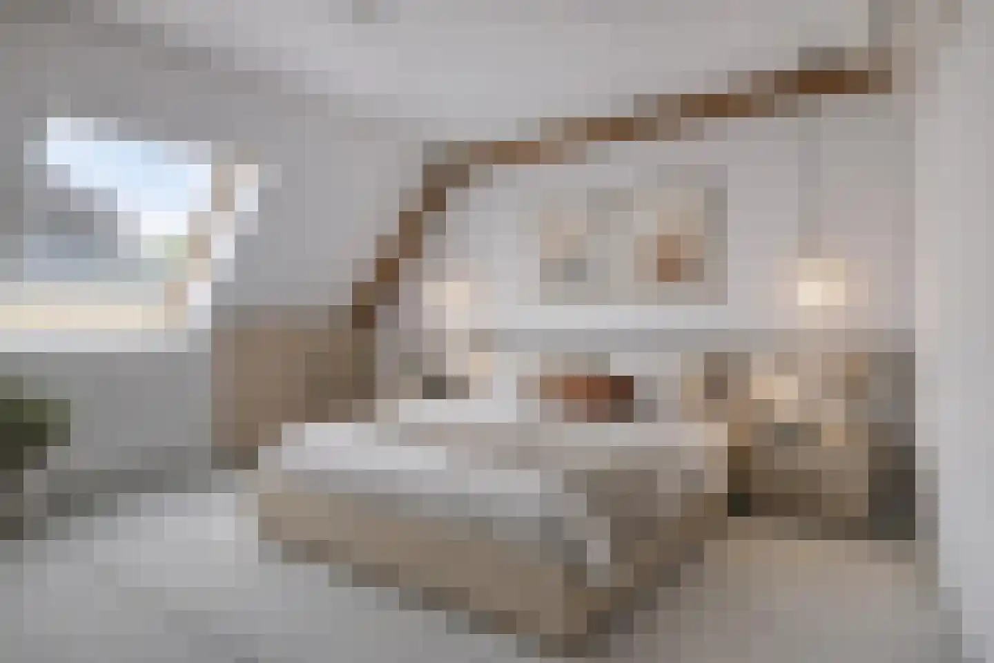 Raadhuisstraat 2 D Venray thumbnail 31