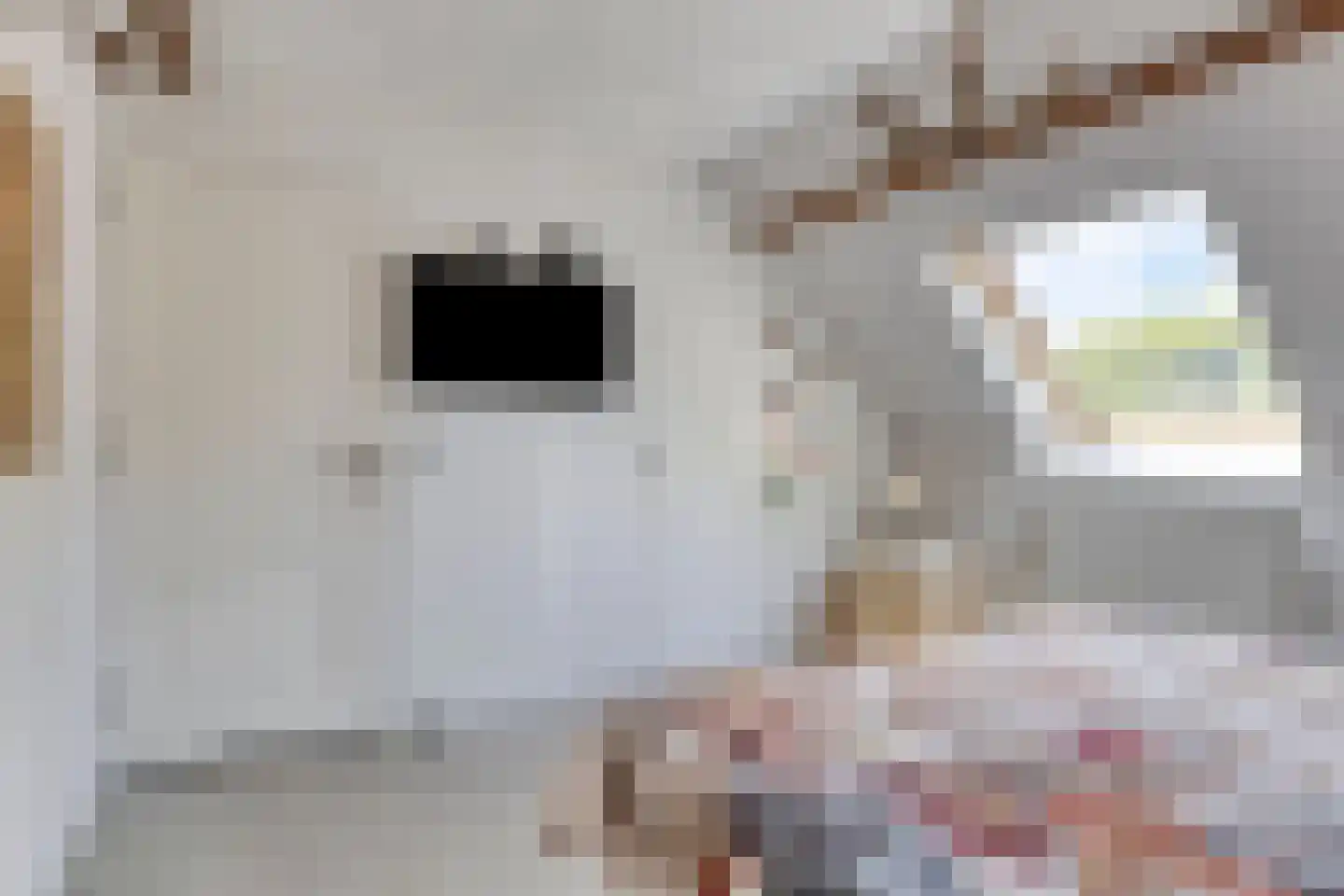 Raadhuisstraat 2 D Venray thumbnail 32