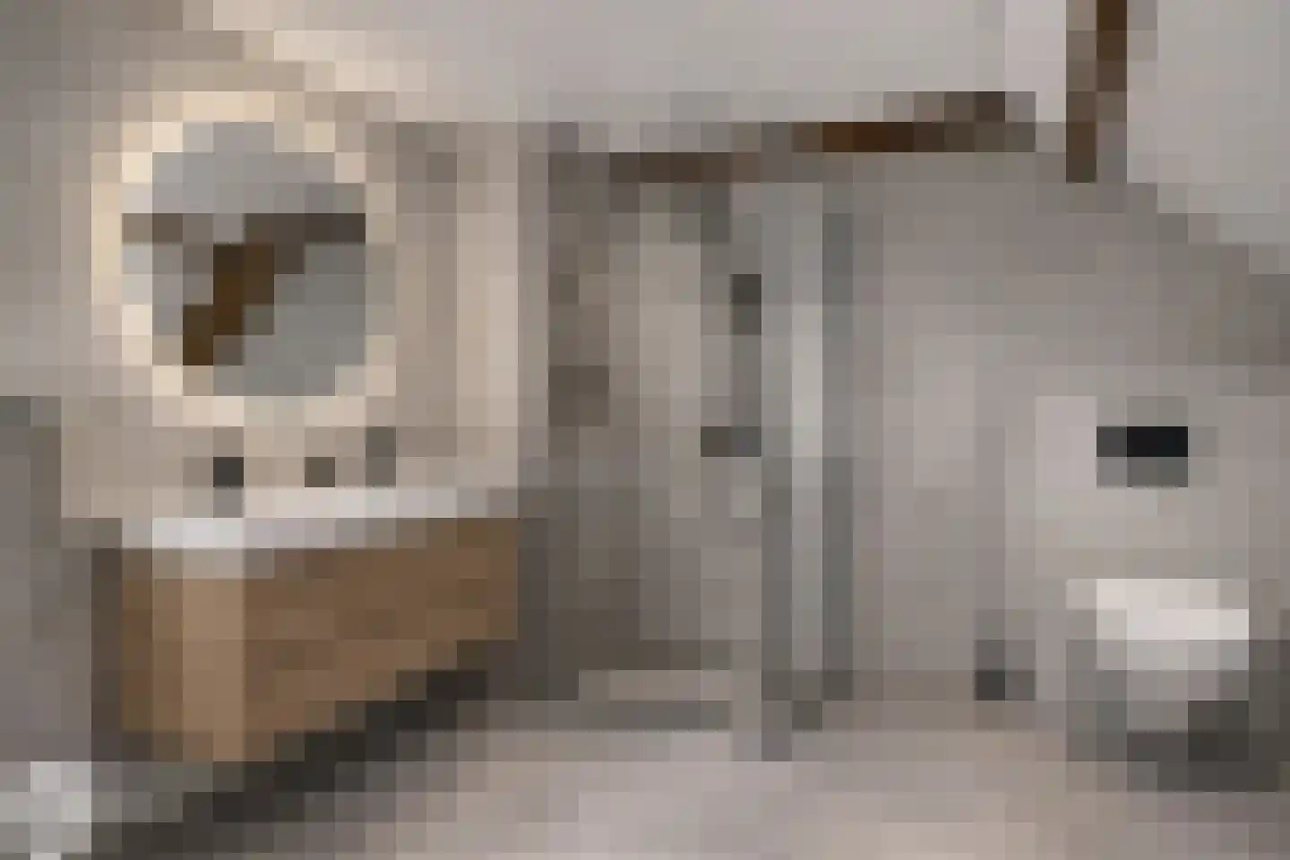 Raadhuisstraat 2 D Venray thumbnail 38