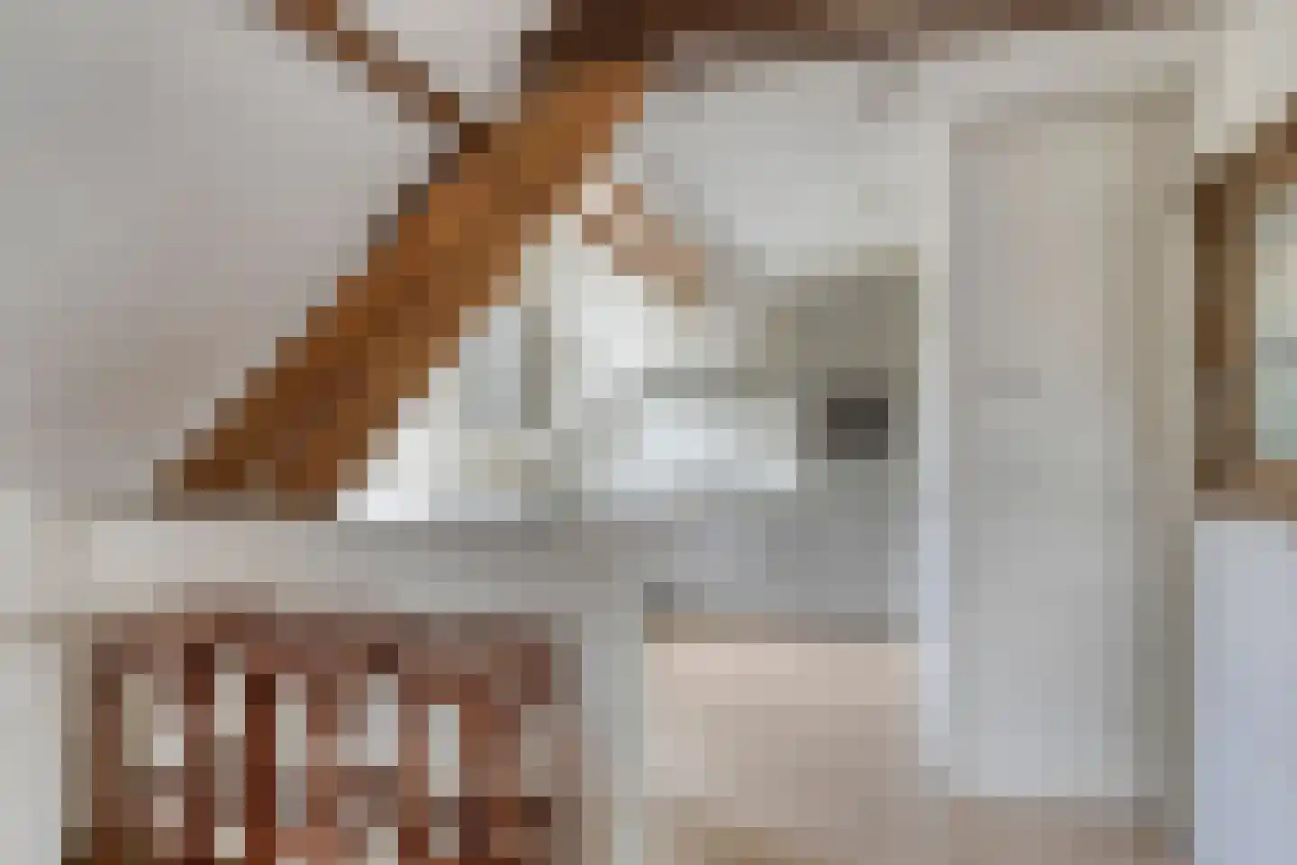Raadhuisstraat 2 D Venray thumbnail 4