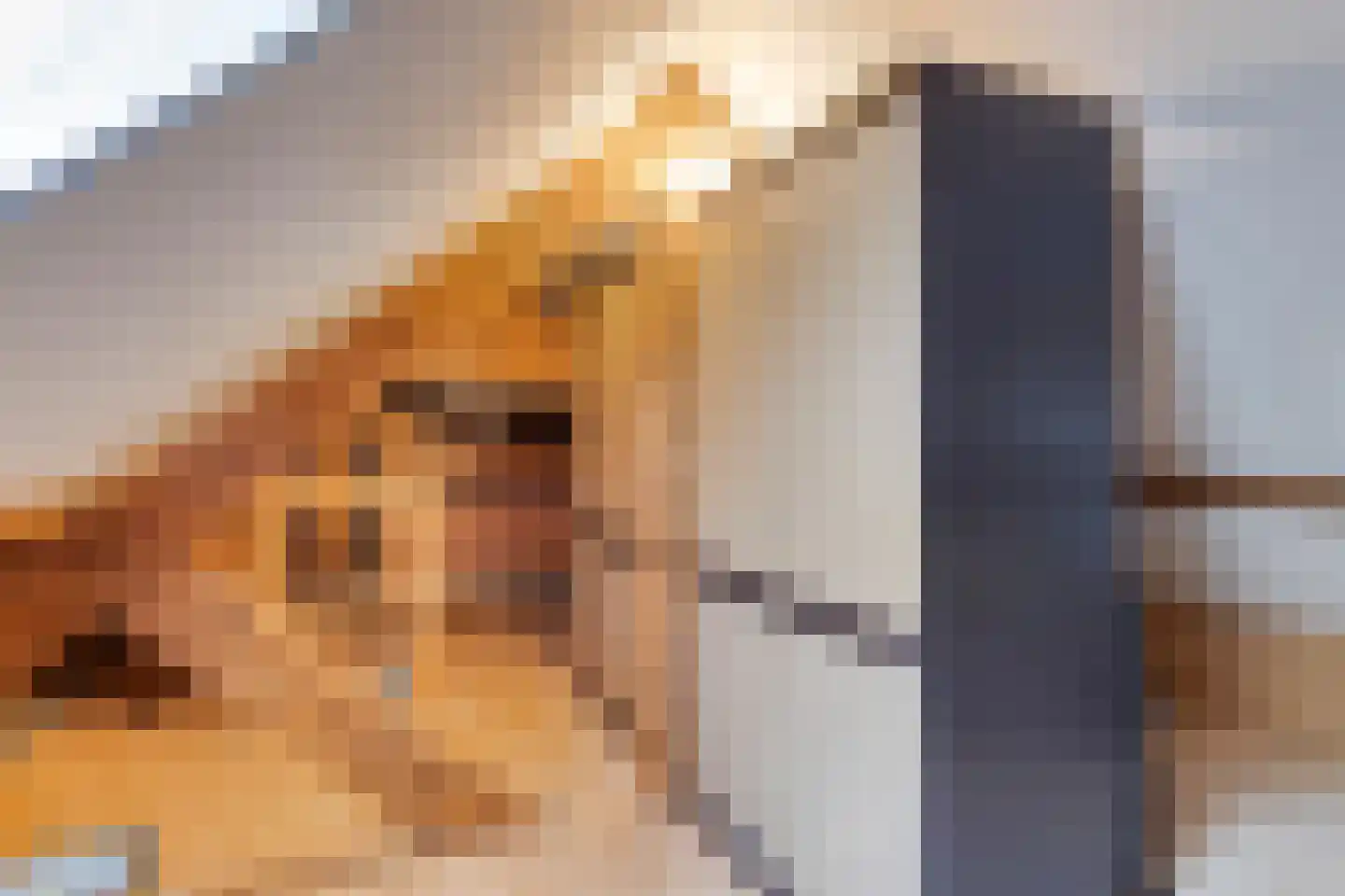 Raadhuisstraat 2 D Venray thumbnail 40
