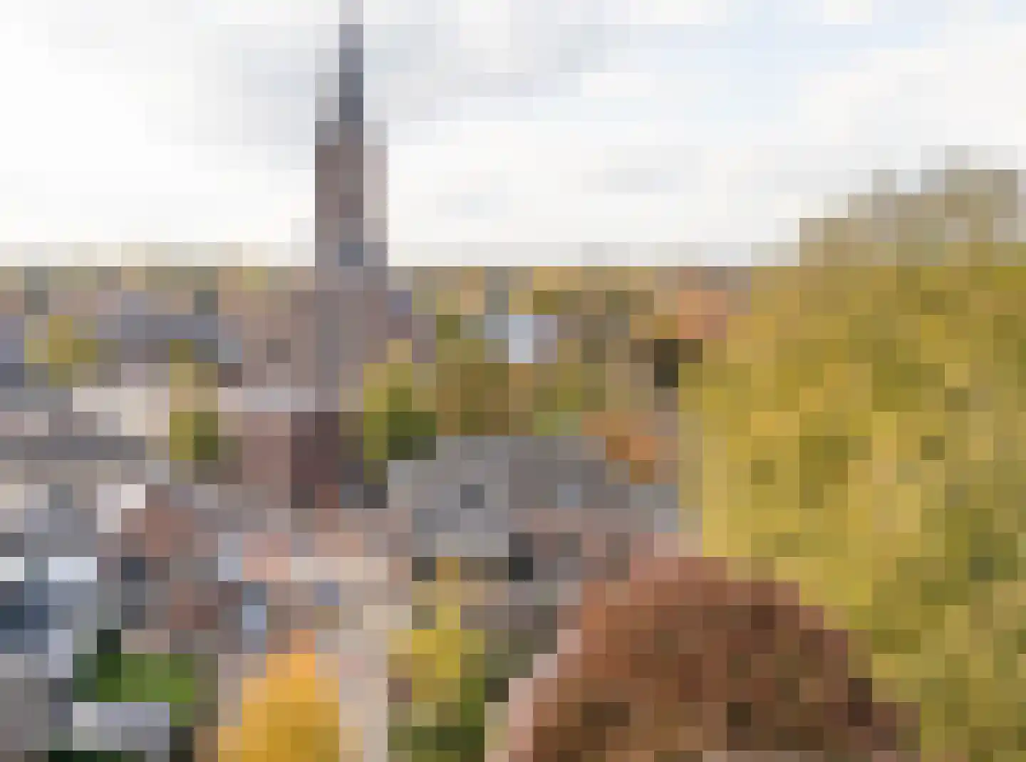 Raadhuisstraat 2 D Venray thumbnail 46