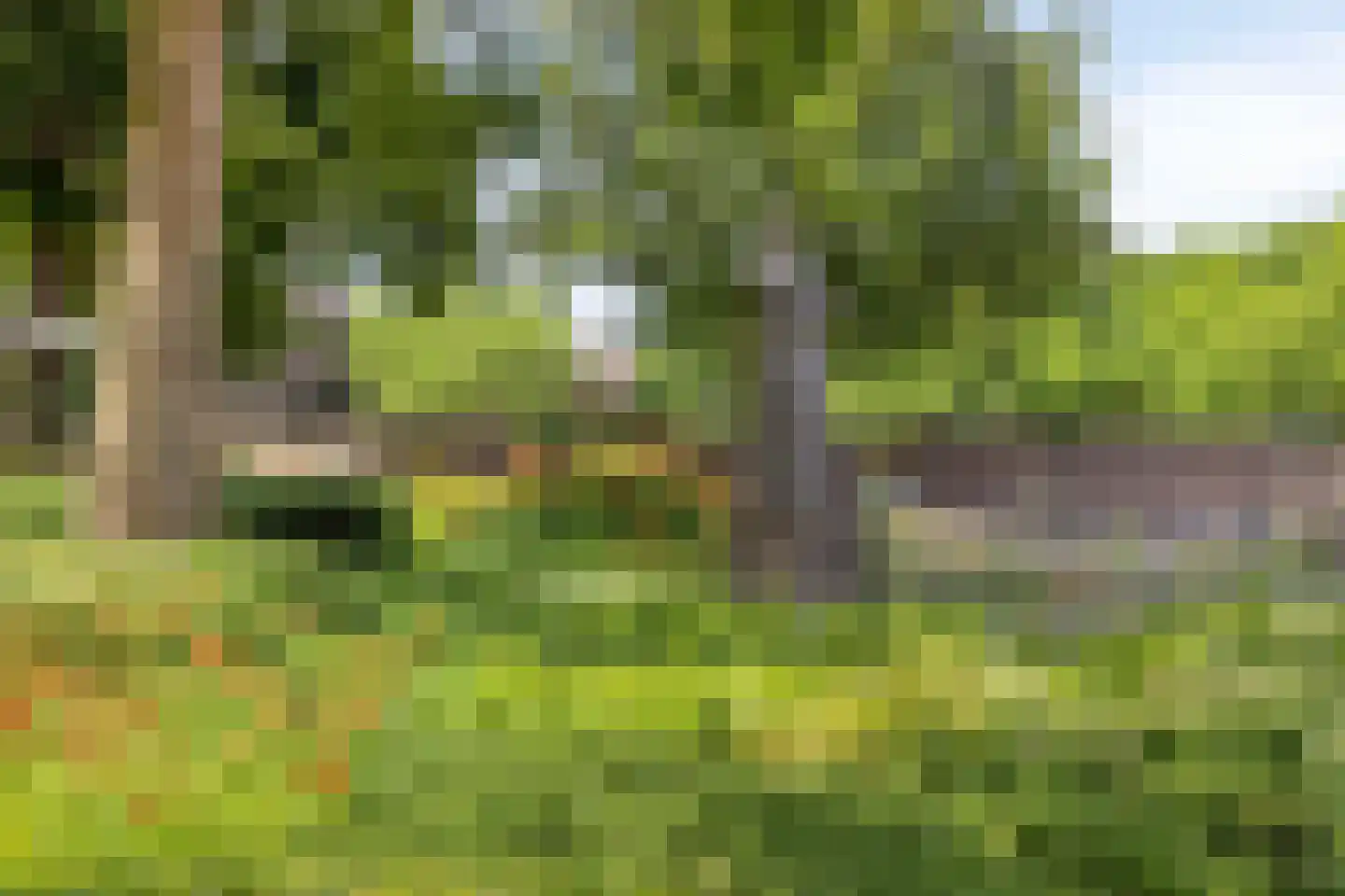 Raadhuisstraat 2 D Venray thumbnail 50