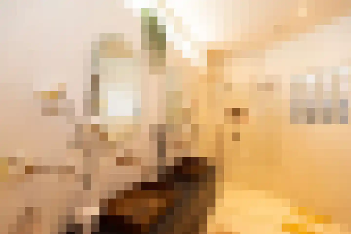 Raadhuisstraat 2 E Brunssum thumbnail 36