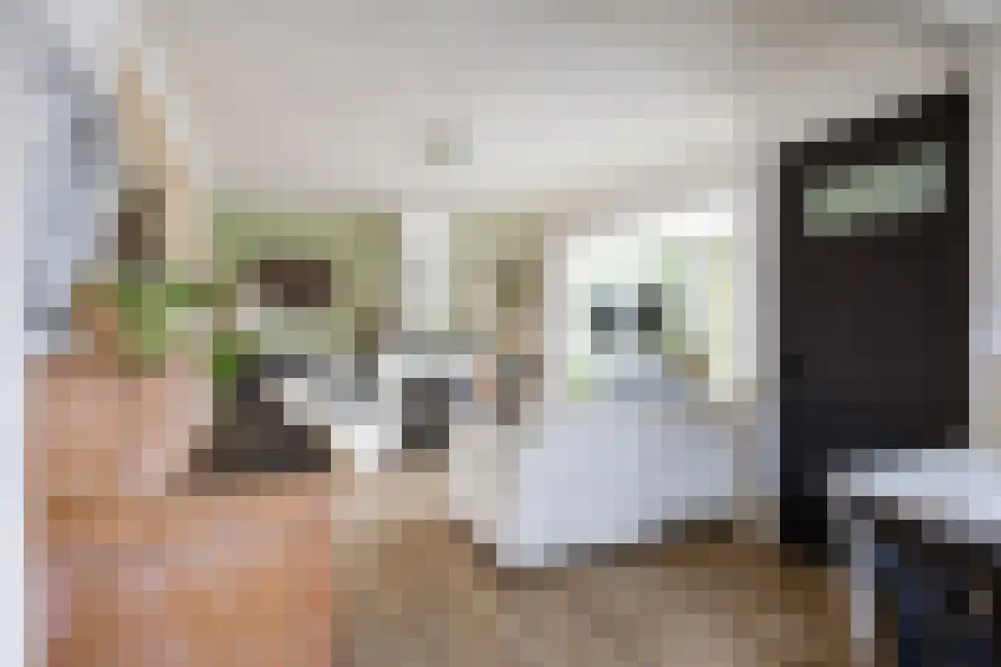 Raadhuisstraat 2 Marum thumbnail 21