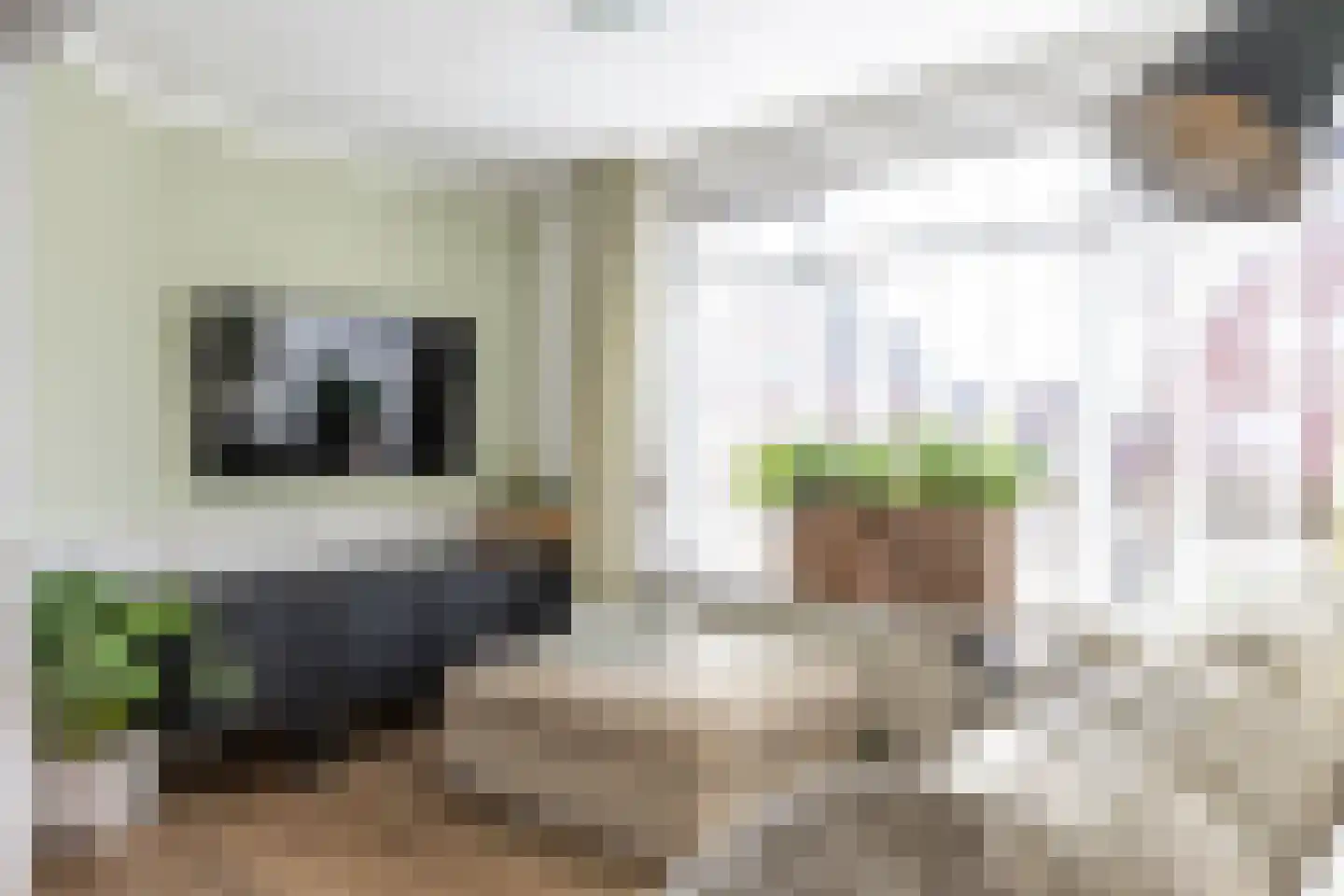 Raadhuisstraat 2 Marum thumbnail 24