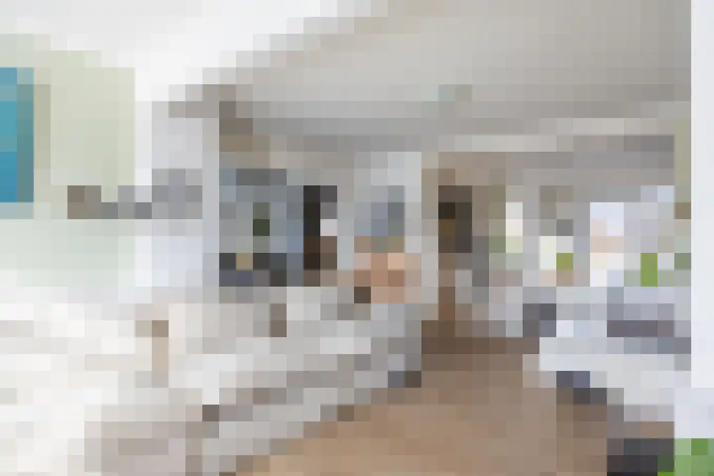 Raadhuisstraat 2 Marum thumbnail 26