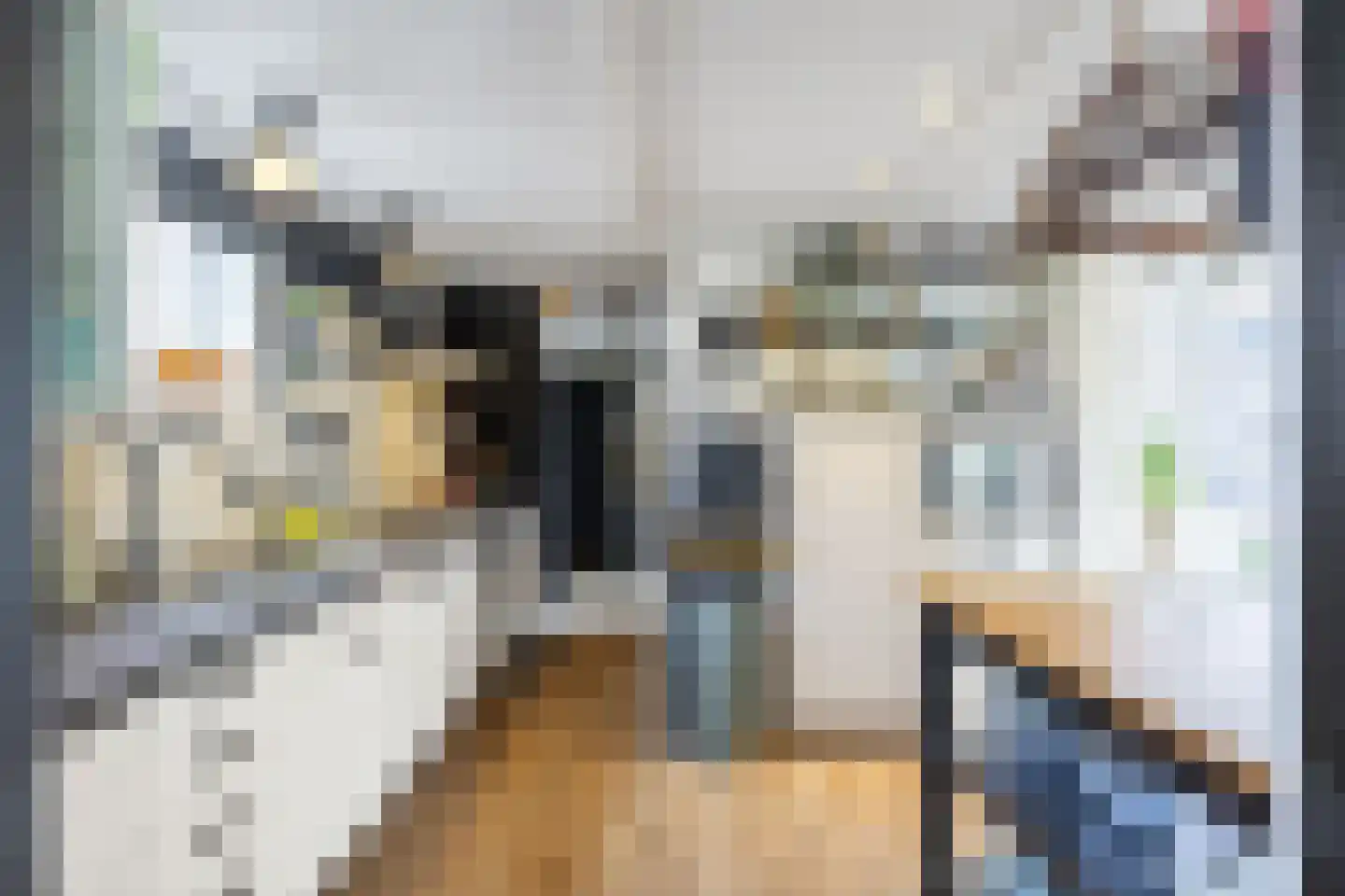 Raadhuisstraat 2 Marum thumbnail 4