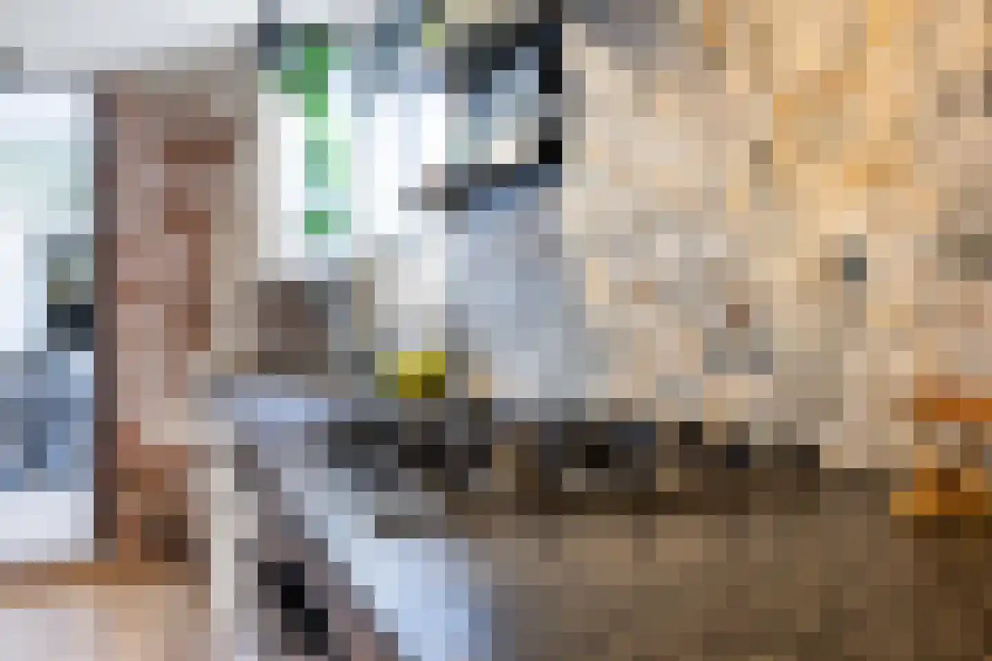 Raadhuisstraat 2 Marum thumbnail 41