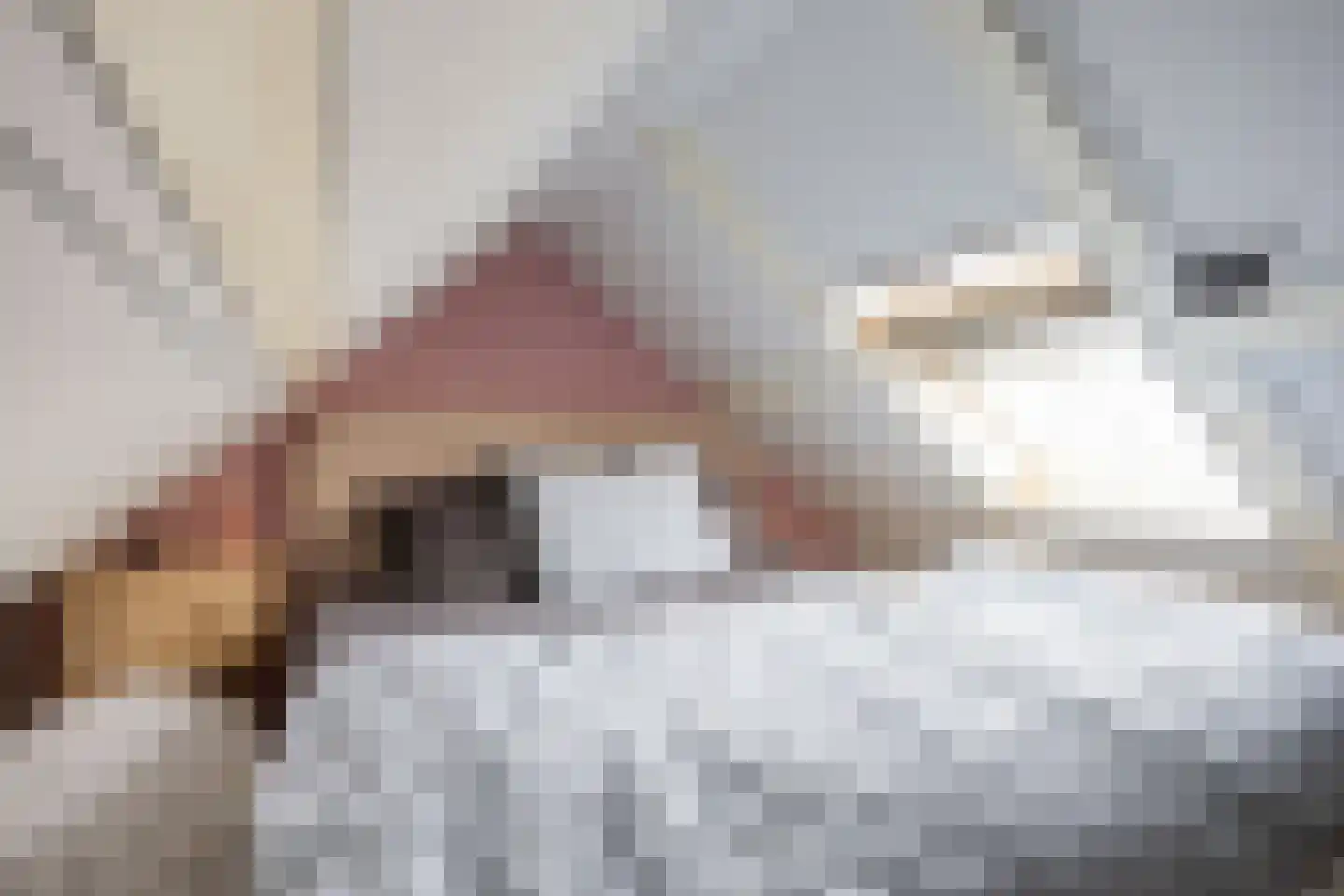 Raadhuisstraat 2 Marum thumbnail 58