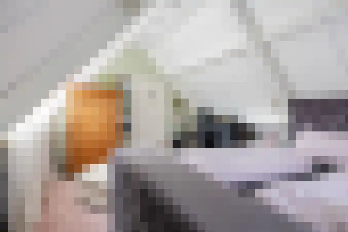 Raadhuisstraat 2 Marum thumbnail 61