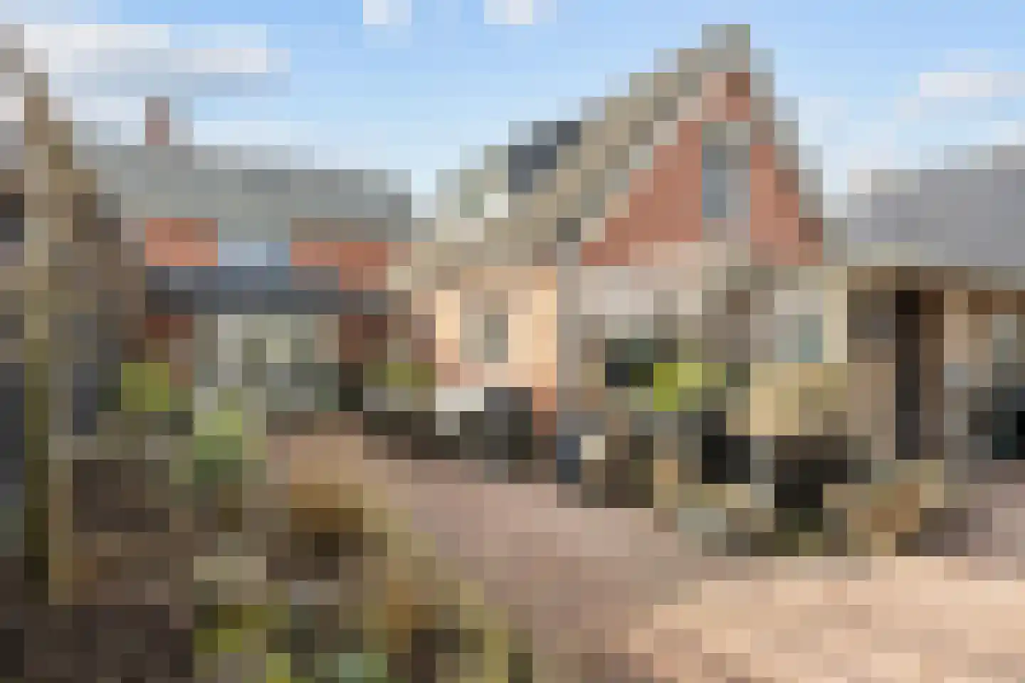 Raadhuisstraat 2 Marum thumbnail 67