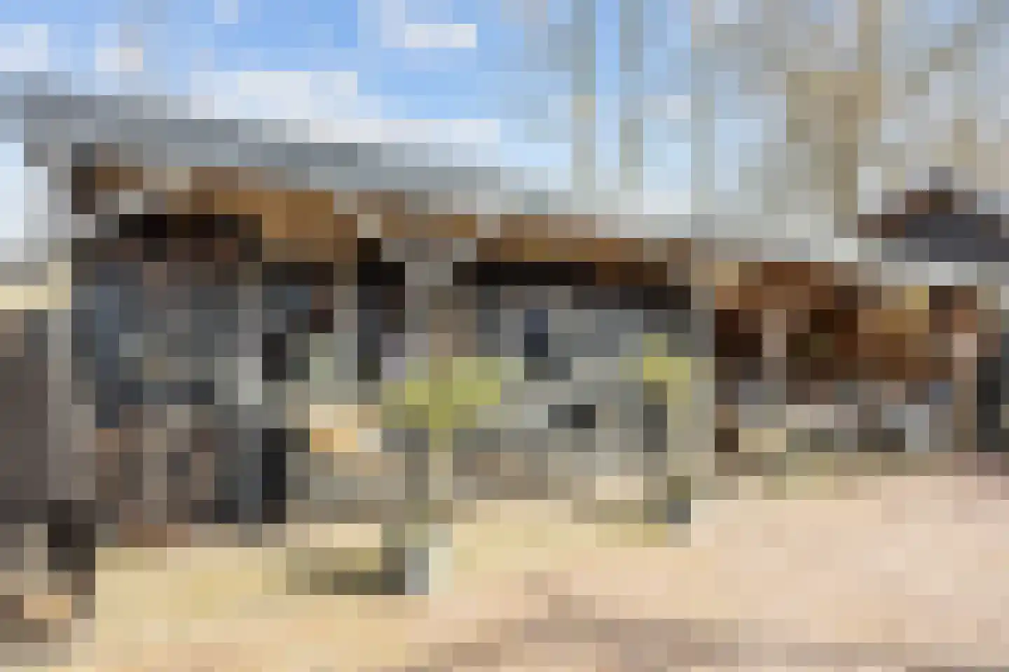 Raadhuisstraat 2 Marum thumbnail 70