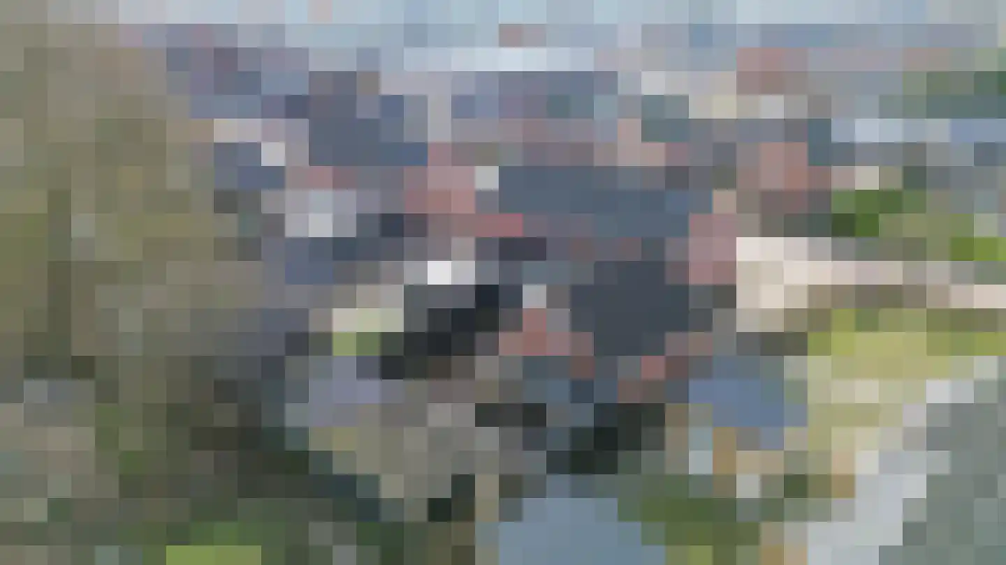 Raadhuisstraat 2 Marum thumbnail 72