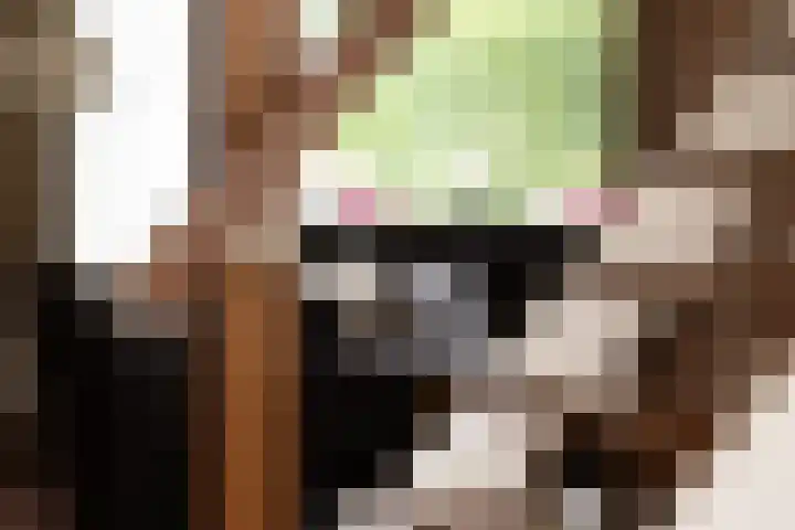 Raadhuisstraat 2 Oudorp thumbnail 13
