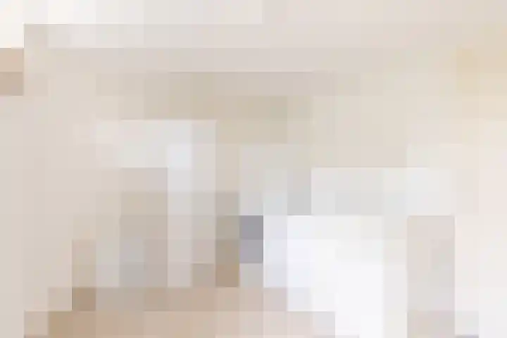 Raadhuisstraat 2 Oudorp thumbnail 22