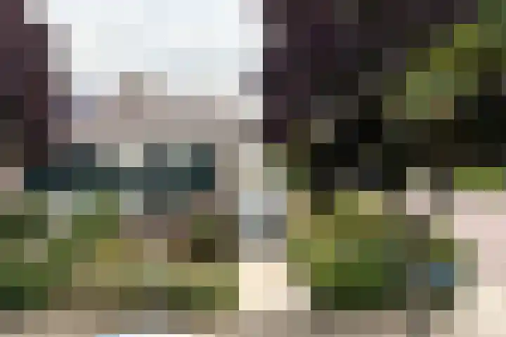 Raadhuisstraat 2 Oudorp thumbnail 51