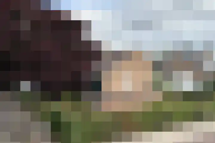 Raadhuisstraat 2 Oudorp thumbnail 56