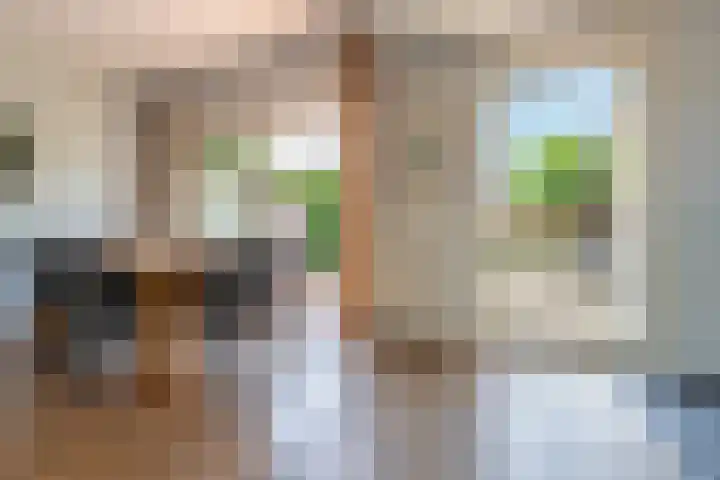 Raadhuisstraat 20 Blaricum thumbnail 13