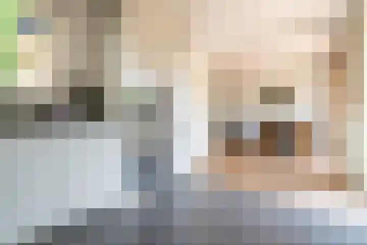 Raadhuisstraat 20 Blaricum thumbnail 19