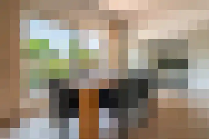 Raadhuisstraat 20 Blaricum thumbnail 20
