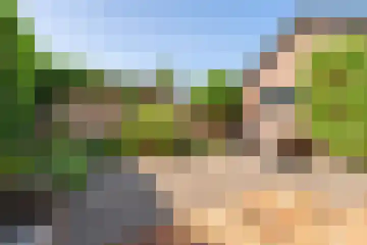Raadhuisstraat 20 Blaricum thumbnail 24