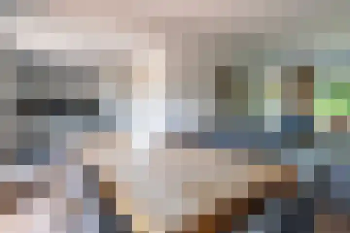 Raadhuisstraat 20 Blaricum thumbnail 25