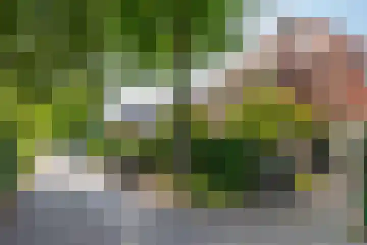 Raadhuisstraat 20 Blaricum thumbnail 4