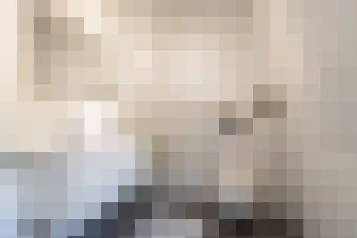 Raadhuisstraat 20 Blaricum thumbnail 43