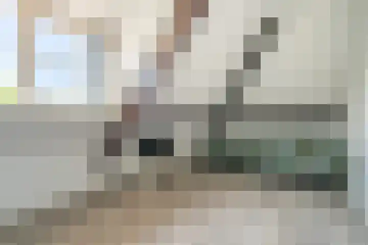 Raadhuisstraat 20 Blaricum thumbnail 46