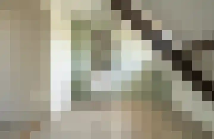Raadhuisstraat 20 Blaricum thumbnail 47