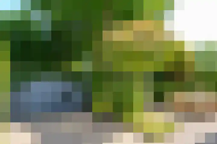Raadhuisstraat 20 Blaricum thumbnail 7