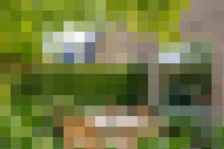 Raadhuisstraat 20 Blaricum thumbnail 8
