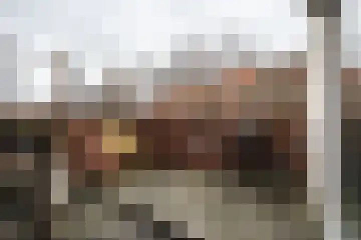 Raadhuisstraat 20 Haarlem thumbnail 10