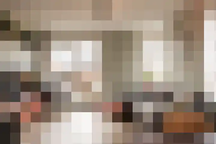 Raadhuisstraat 20 Haarlem thumbnail 6